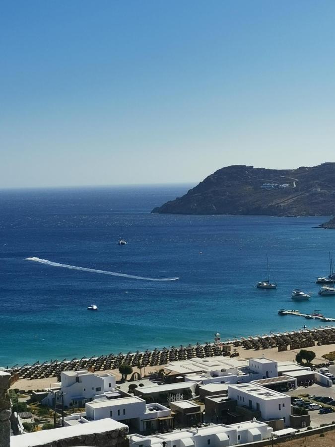 Villa Viktoria In Elia Beach, Mykonos Mykonos Town Εξωτερικό φωτογραφία